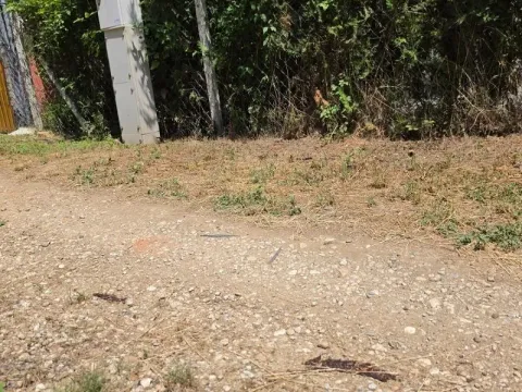 Prodaja, plac, 14200m², Irig, Srbija - image 7