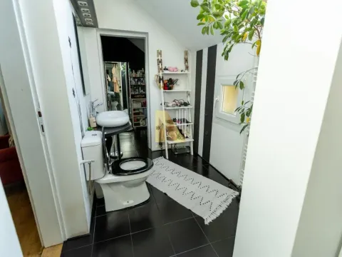 Sale, house, 240m², Salajka, Novi Sad Sve Podlokacije - image 29