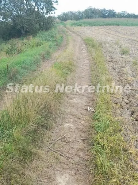Prodaja, plac, 2300m², Novi Sad, Srbija