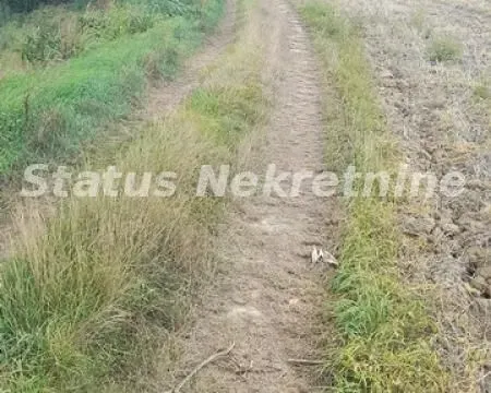 Prodaja, plac, 2300m², Novi Sad, Srbija - image 12