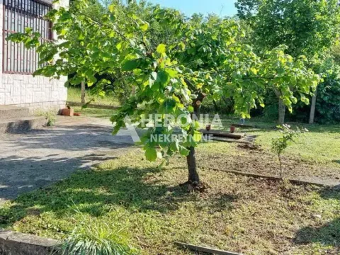 Prodaja, kuća, 300m², Arnajevo, Barajevo - image 5