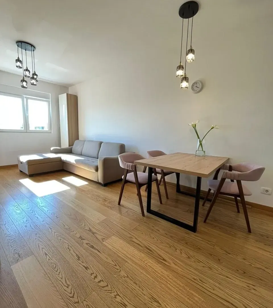 Rent, one bedroom apartment, 46m², New City, Podgorica