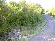 Sale, land lot, 5185m², Krašići, Tivat - image 4