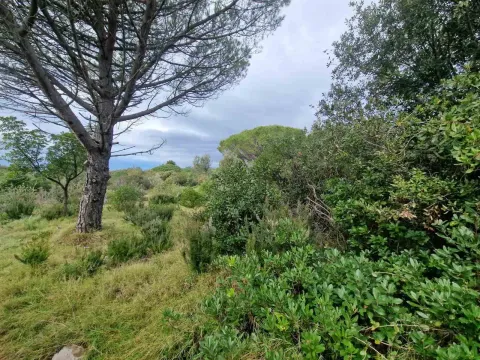 Prodaja, plac, 930m², Zagora, Kotor - image 16