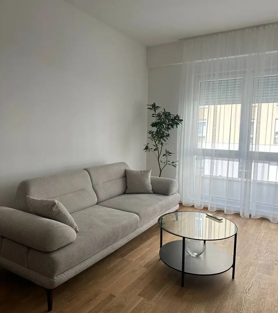 Rent, one bedroom apartment, 46m², Zabjelo, Podgorica