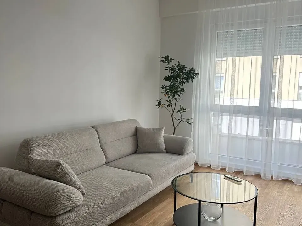 Rent, one bedroom apartment, 46m², Zabjelo, Podgorica
