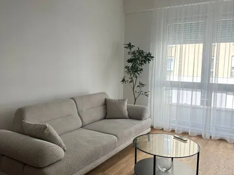 Rent, one bedroom apartment, 46m², Zabjelo, Podgorica - image 1