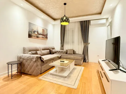Rent, one bedroom apartment, 49m², Central Point, Podgorica - image 4