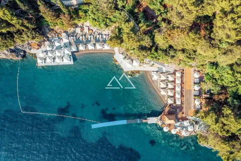 Pogled iz vazduha na uređenu plažu i obalu sa ležaljkama i suncobranima. - image 2