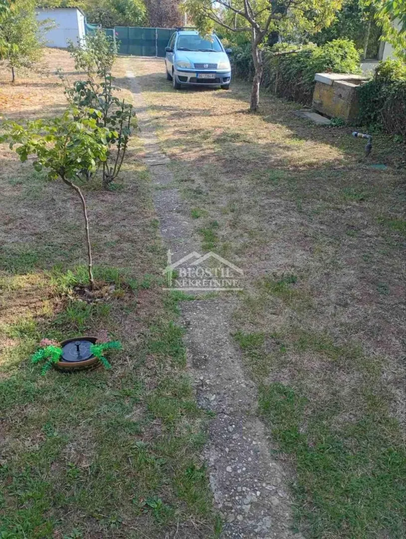 Yard with a pathway and a parked car.
