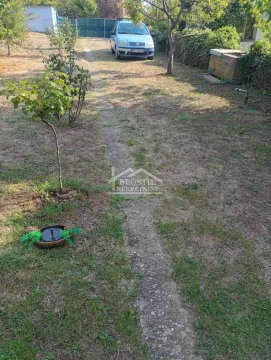 Yard with a pathway and a parked car. - image 20