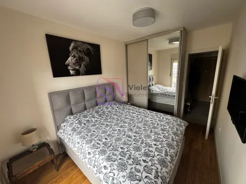 Rent, one bedroom apartment, 47m², Central Point, Podgorica - image 43
