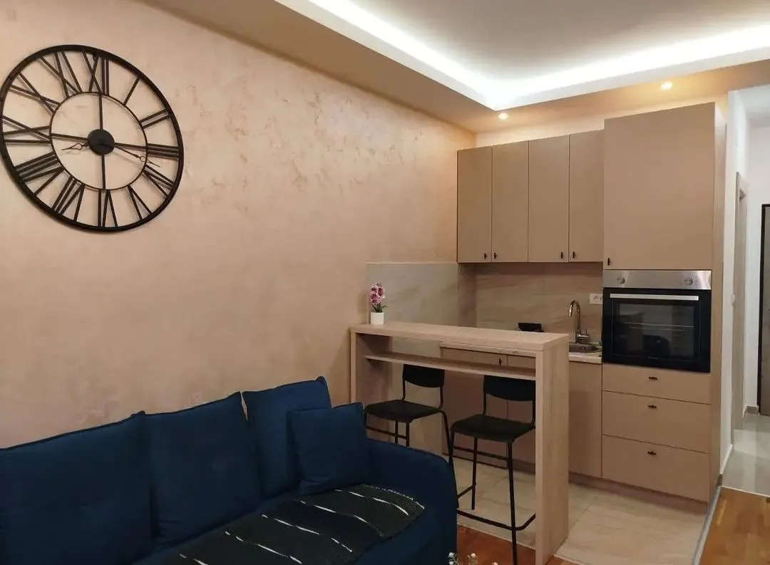 Rent, studio apartment, 24m², Zabjelo, Podgorica
