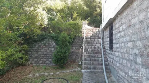 Stone stairs lead to the entrance of the house next to a landscaped courtyard with greenery. - image 29
