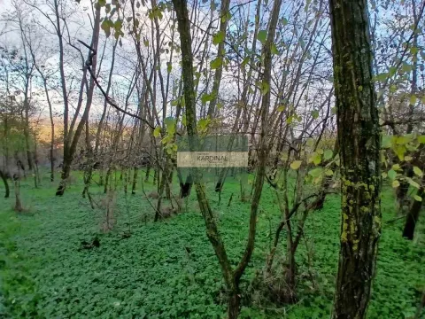 Prodaja, plac, 92300m², Đurđevo brdo, Jagodina - image 6