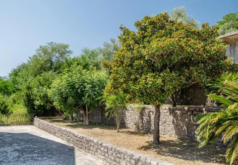 Zeleno dvorište sa drvećem, kamenim zidovima i popločanim dijelom. - image 10