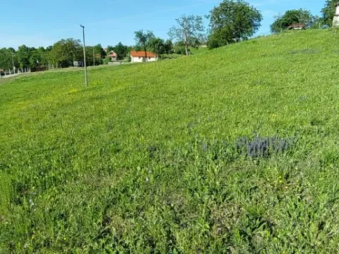 Sale, land lot, 5700m², Kragujevac, Srbija - image 6
