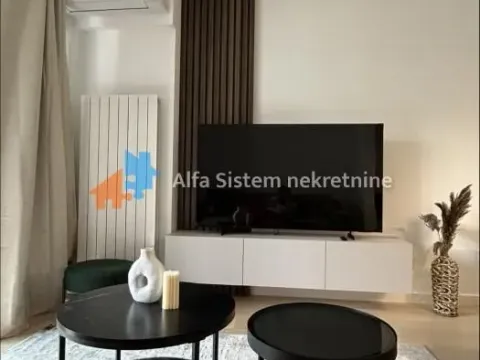 Izdavanje, dvosoban stan, 47m², Novi Beograd Blok 64, Novi Beograd Sve Podlokacije - image 2