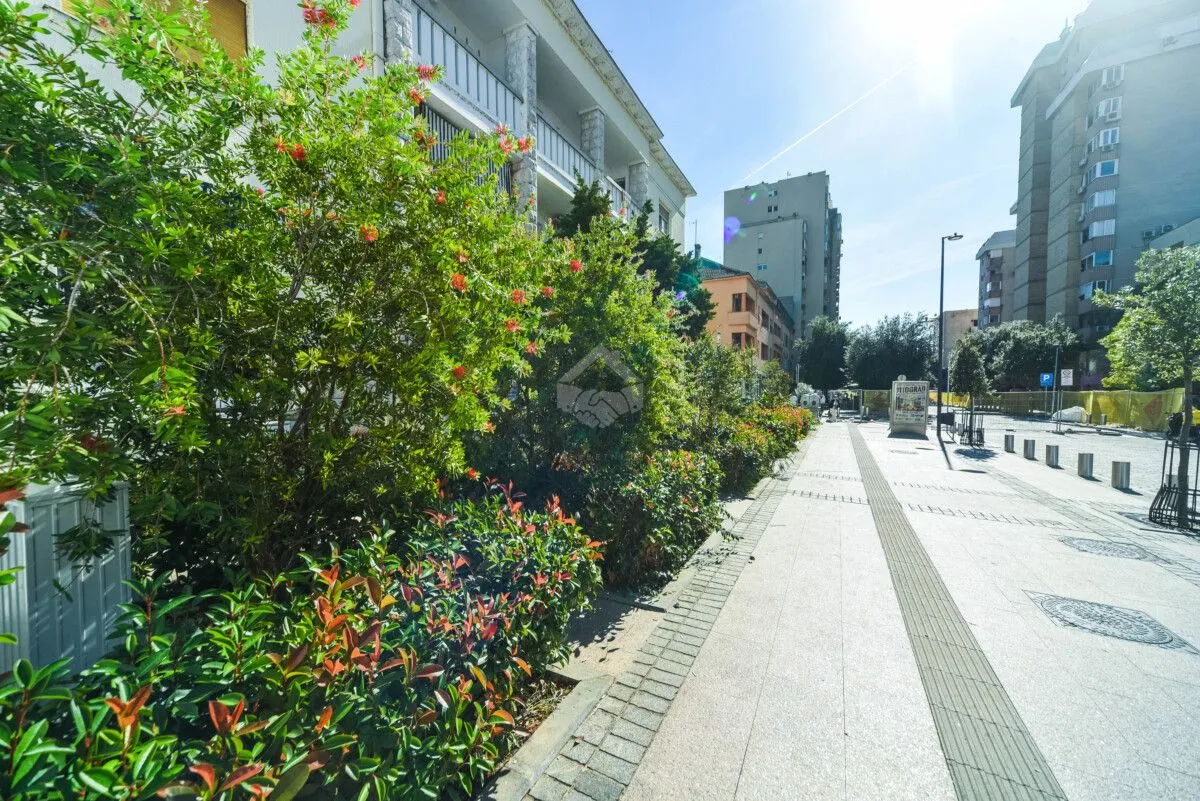 View of the street and greenery in front of the building.
