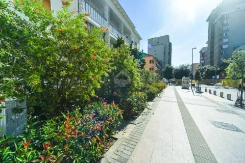View of the street and greenery in front of the building. - image 4