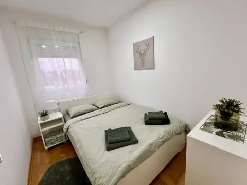 Izdavanje, dvosoban stan, 42m², Kluz, Zvezdara Sve Podlokacije - image 16