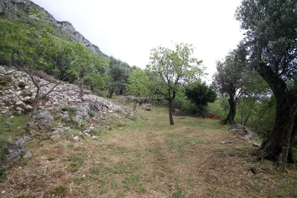 Zelenilo i drveće na placu sa planinskim predjelom u pozadini.
