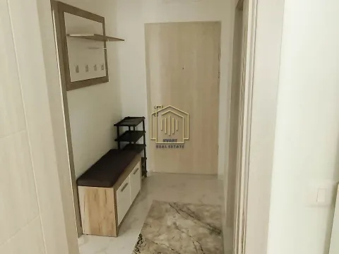 Izdavanje, jednosoban stan, 40m², Zabjelo, Podgorica - image 6