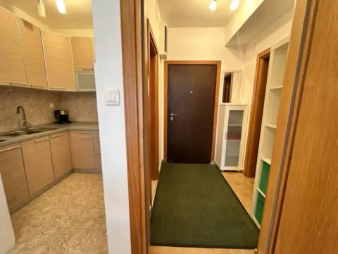 Prodaja, jednosoban stan, 47m², Velji Vinogradi, Budva - image 7