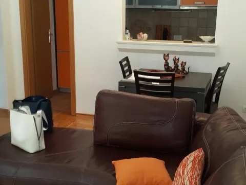 Izdavanje, jednosoban stan, 50m², Stari Aerodrom, Podgorica - image 1