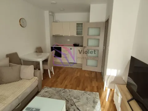 Rent, one bedroom apartment, 40m², Zabjelo, Podgorica - image 3