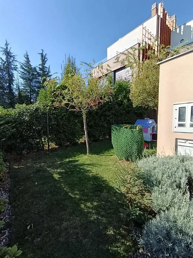 Landscaped backyard with lawn and greenery.
