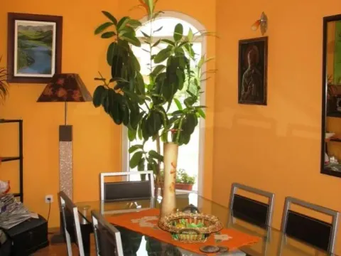 Prodaja, kuća, 180m², Donja Gorica, Podgorica - image 8