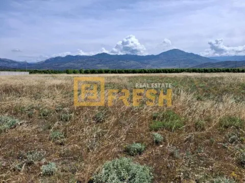 Prodaja, plac, 3000m², Tuzi, Podgorica - image 2