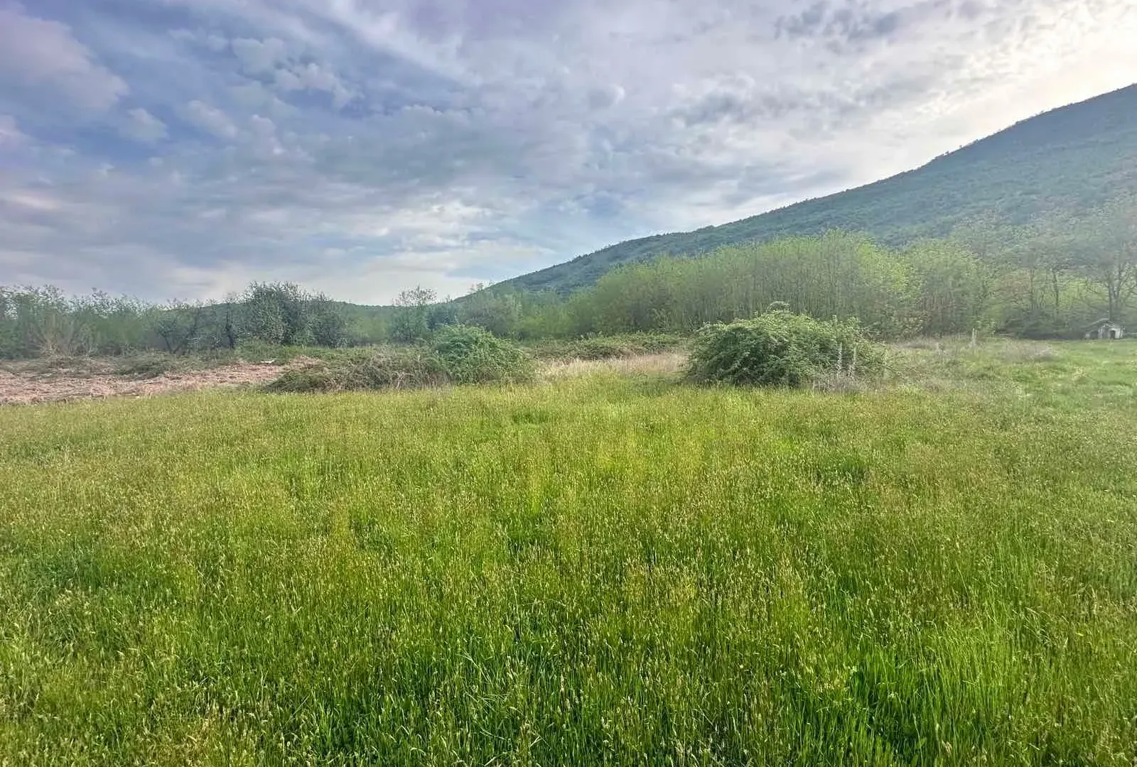 Prodaja, plac, 10860m², Orja Luka, Danilovgrad