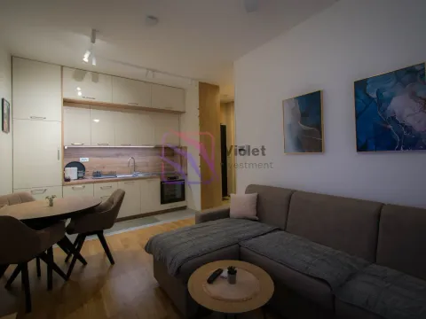 Rent, one bedroom apartment, 44m², Tološi, Podgorica - image 5