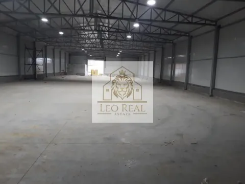 Izdavanje, poslovni prostor, 2400m², Surčin, Beograd - image 3