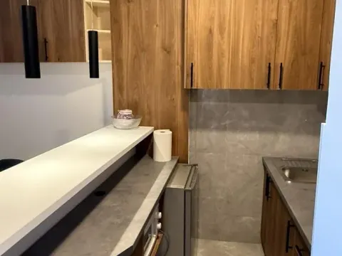 Rent, one bedroom apartment, 40m², Bulevar Oslobodjenja, Novi Sad Sve Podlokacije - image 7