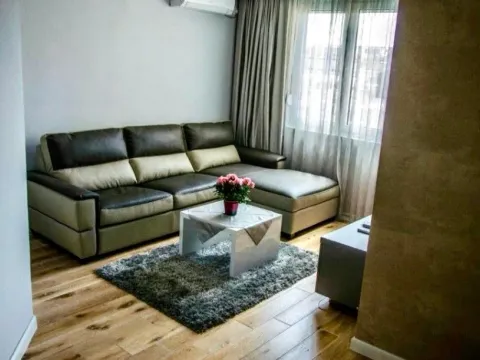 Izdavanje, jednosoban stan, 45m², Centar, Podgorica