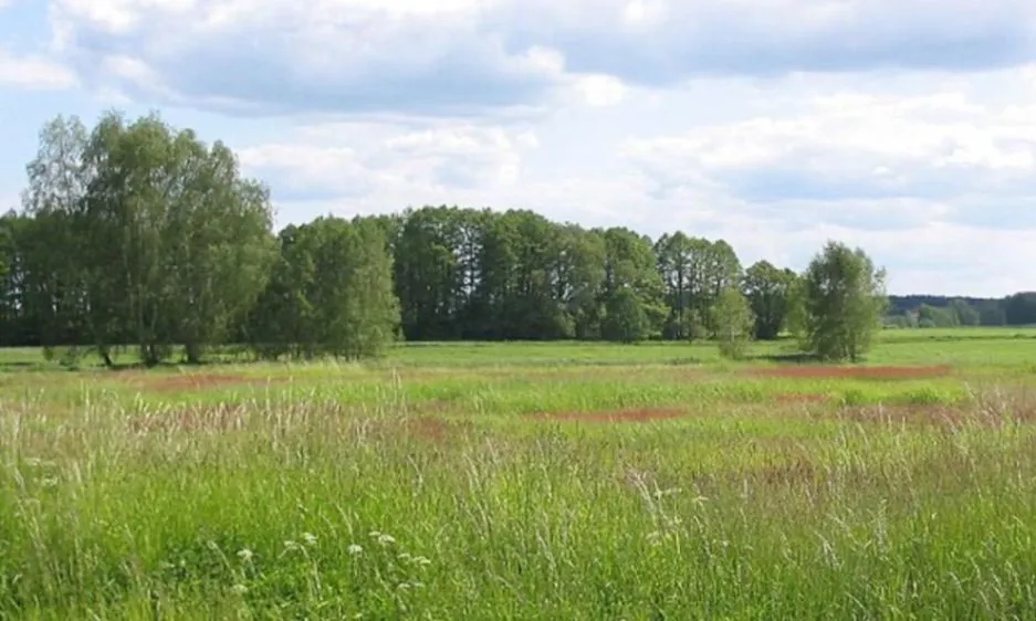 Sale, land lot, 500m², Novo Selo, Danilovgrad