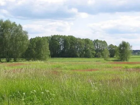 Sale, land lot, 500m², Novo Selo, Danilovgrad