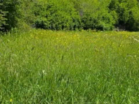 Sale, land lot, 22000m², Čevo, Cetinje - image 4