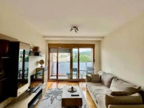 Izdavanje, jednosoban stan, 55m², Preko Morače, Podgorica - image 2