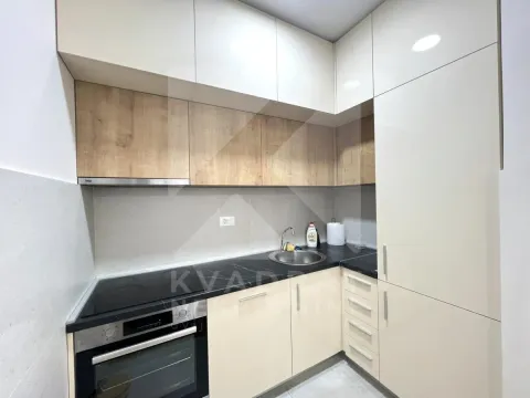 Rent, one bedroom apartment, 47m², Central Point, Podgorica - image 4