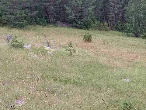 Prodaja, plac, 1600m², Žabljak, Crna Gora - image 2