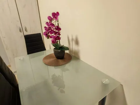 Rent, one bedroom apartment, 35m², Bečići, Budva - image 4