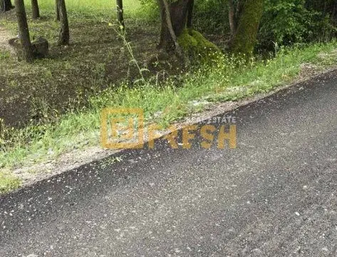 Prodaja, plac, 3500m², Danilovgrad, Crna Gora - image 4