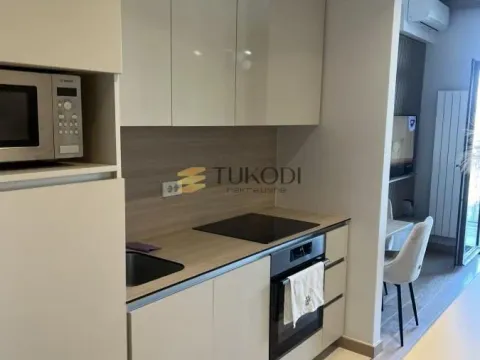 Izdavanje, jednosoban stan, 32m², Savski Venac, Beograd - image 6