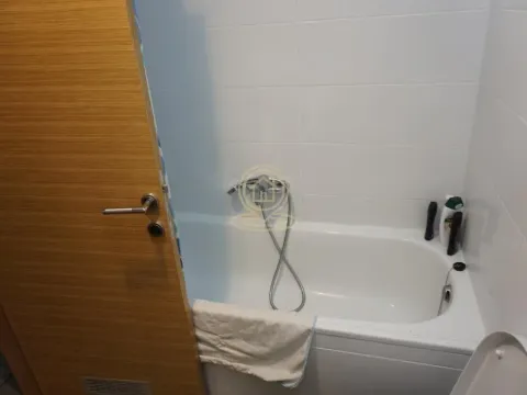 Izdavanje, dvosoban stan, 43m², Zemun Sve Podlokacije, Beograd - image 4