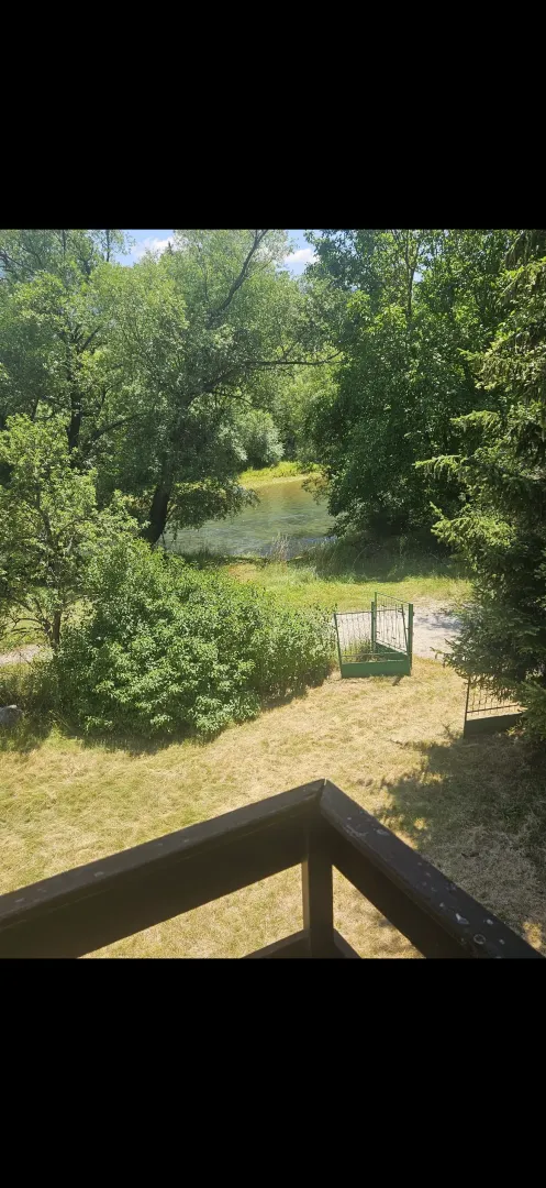 Pogled sa terase na dvorište, rijeku i šumu.