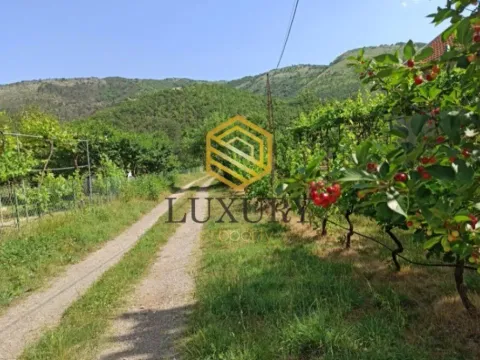 Izdavanje, kuća, 150m², Bioče, Podgorica - image 4